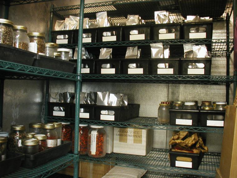 DELEP Walk-in Freezer