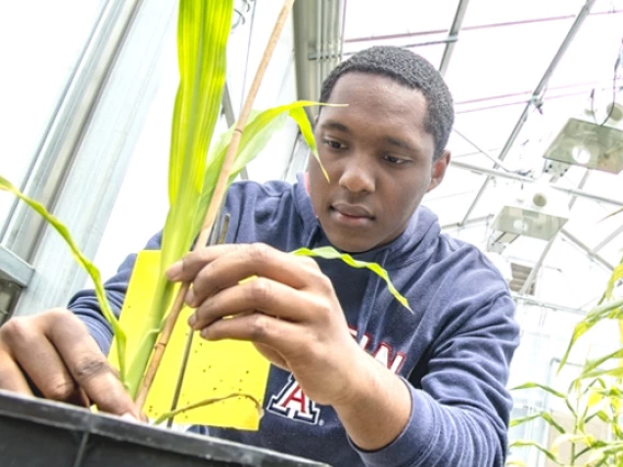 Student observing a plant
