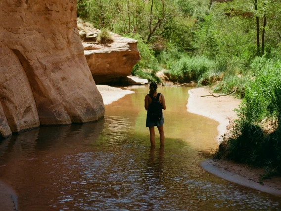 eco tourism in arizona hiking