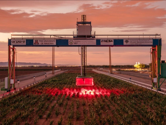 A 30-ton robot scans a field in central Arizona at the Maricopa Agricultural Center.