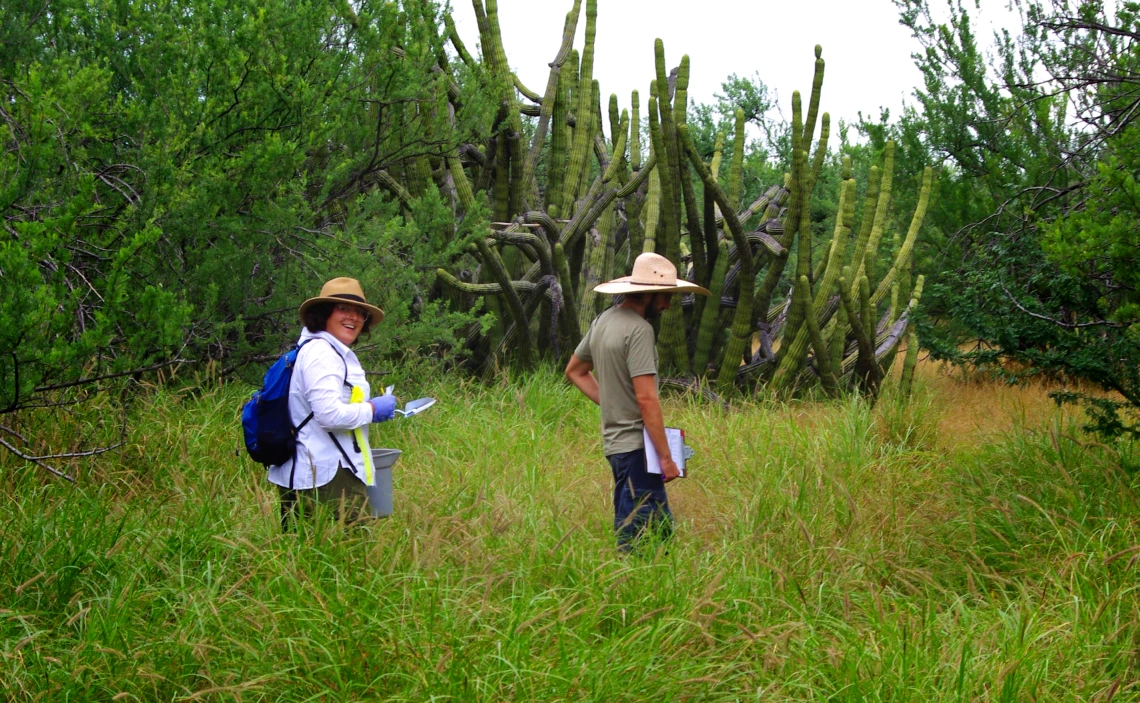 Picture of scientists in a field in Mexico