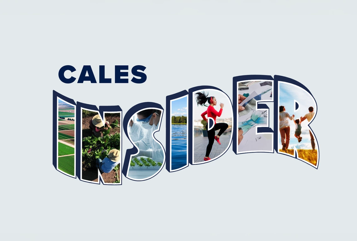 Header Image for CALES Insider Newsletters