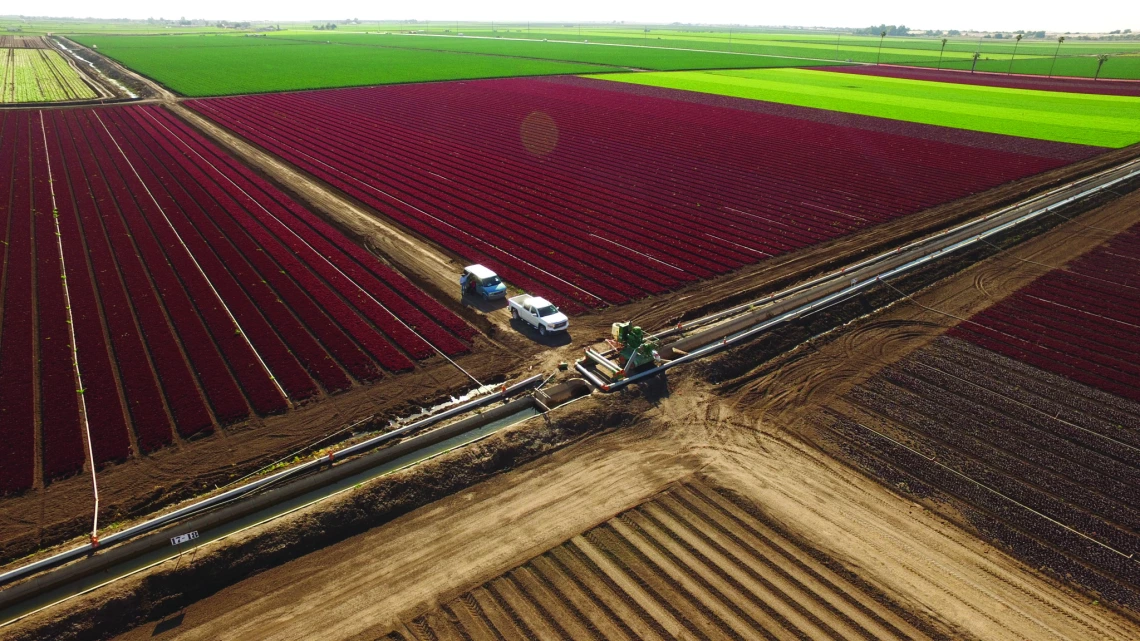 An expansive aerial shot of multicolored fields in Yuma