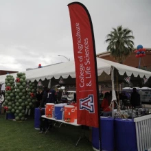CALES tailgate tent on the U of A mall