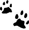 Bobcat Tracks