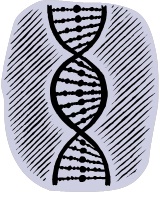 DNA