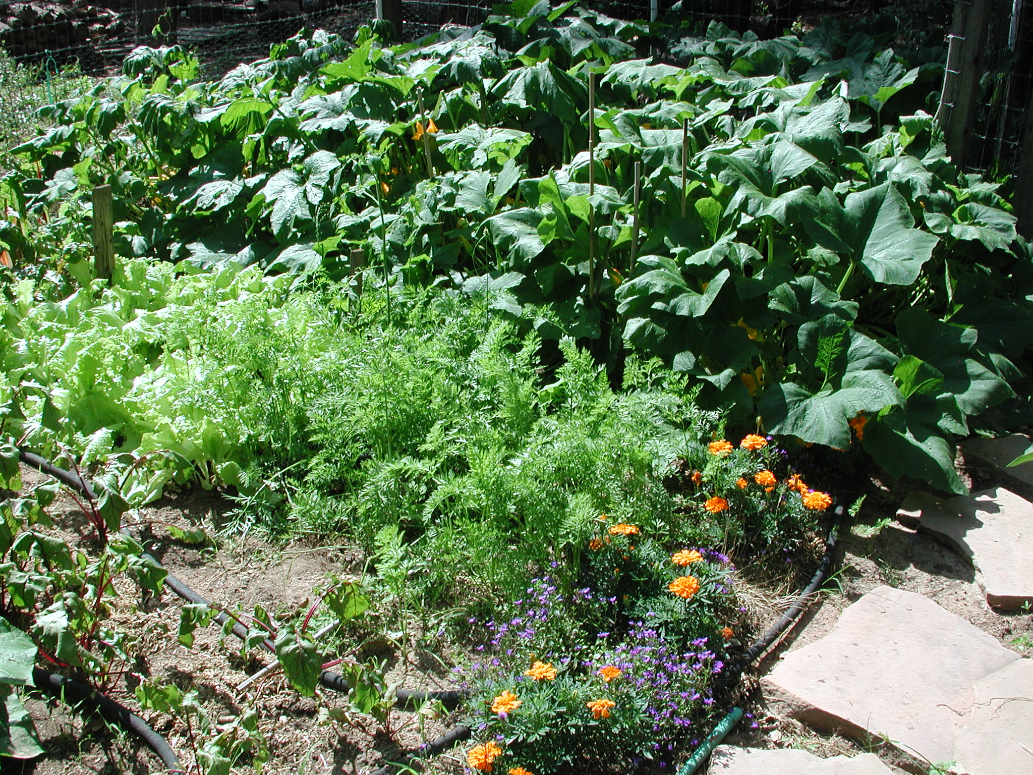 2012 Summer Garden